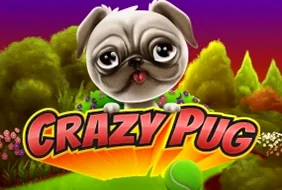 Crazy Pug